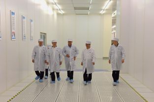 政協(xié)常委陳清泰 持續(xù)加大對武漢國家存儲器基地項(xiàng)目投入