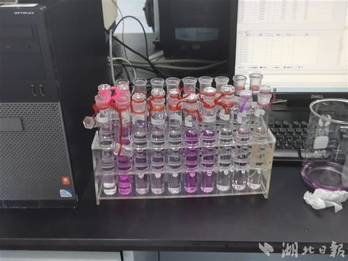 口紅里是否含汞 十分鐘出結(jié)果 探秘武漢食品化妝品檢測所