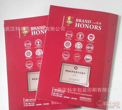 【廠家免費(fèi)專業(yè)設(shè)計印刷企業(yè)宣傳冊、產(chǎn)品畫冊、說明書