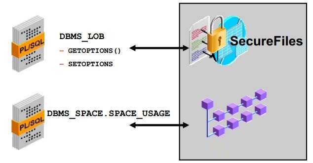 Oracle DB 數(shù)據(jù)安全管理實踐與火龍果軟件工程應(yīng)用